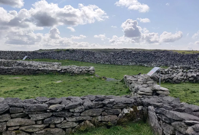 Caherconnell Stone Fort & Sheepdog Demonstrations, Ireland